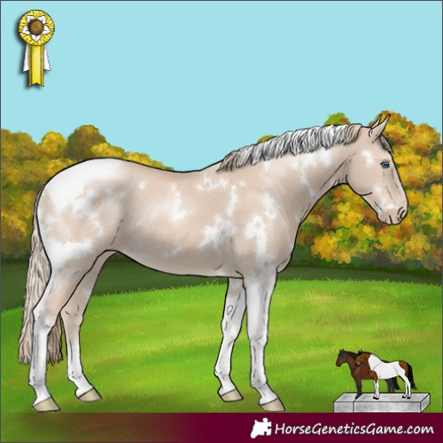 Horse Color:White Spotted Smoky Creme Tobiano Rabicano 