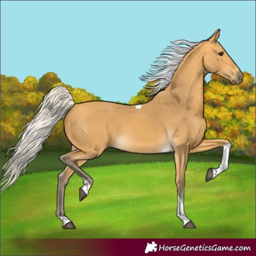 Horse Color:Silver Buckskin Tobiano 