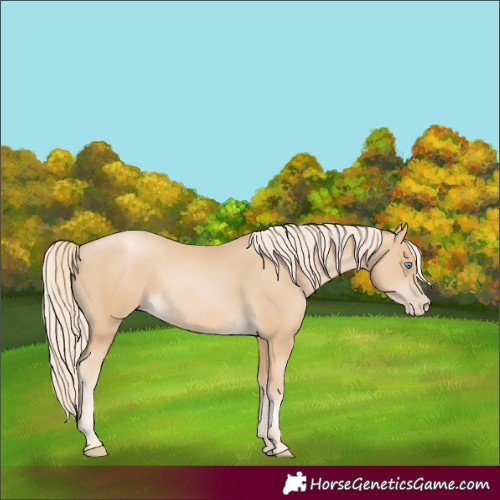 Horse Color:Palomino Pearl 