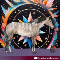 Horse Color:Powder White Brown Dun Appaloosa Rabicano 