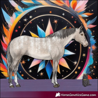 Horse Color:Powder White Brown Dun Appaloosa Rabicano 