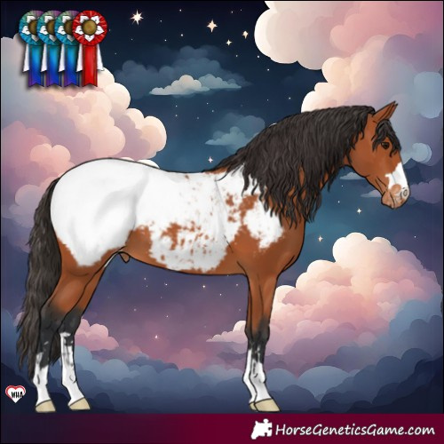 Horse Color:Bay Snowcap 