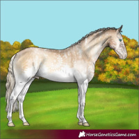 Horse Color:Powder White Chocolate Palomino Pearl Onyx Mushroom Sabino Splash 