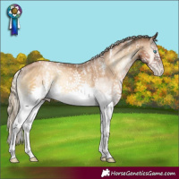 Horse Color:Powder White Chocolate Palomino Pearl Onyx Mushroom Sabino Splash 