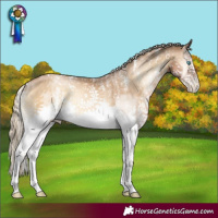 Horse Color:Powder White Chocolate Palomino Pearl Onyx Mushroom Sabino Splash 