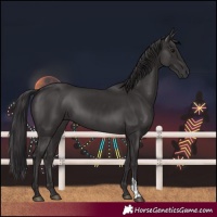 Horse Color:Smoky Black  and Smoky Black 