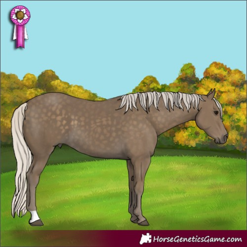 Horse Color:Silver Smoky Black 