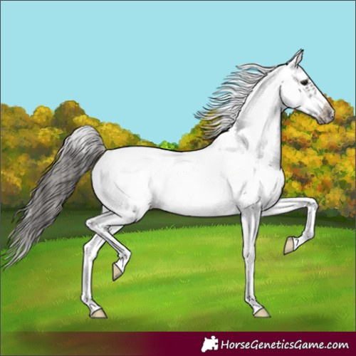 Horse Color:White Spotted Black Splash Frame Blanket 