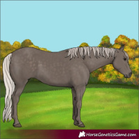 Horse Color:Silver Black 