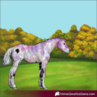 Horse Color:ERROR: UNKNOWN ANOMALY