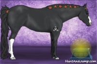 Horse Color:Black 