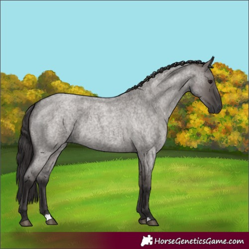 Horse Color:Smoky Grullo Roan 
