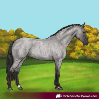 Horse Color:Smoky Grullo Roan 