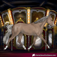 Horse Color:Silver Grullo