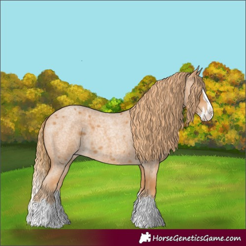 Horse Color:Red Roan Splash 