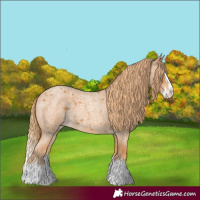Horse Color:Red Roan Splash 