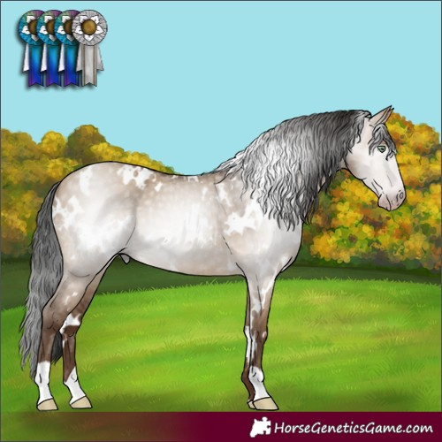 Horse Color:Gray White Spotted Sable Champagne Dun 