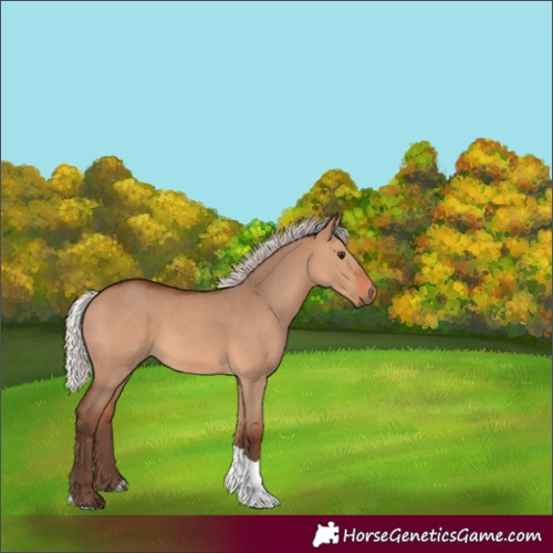 Horse Color:Silver Bay Dun Tobiano Rabicano 