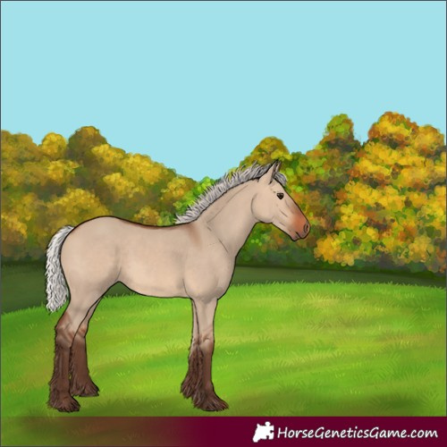 Horse Color:Silver Brown Dun 