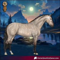 Horse Color:Gray Bay Roan Dun and Brown Dun