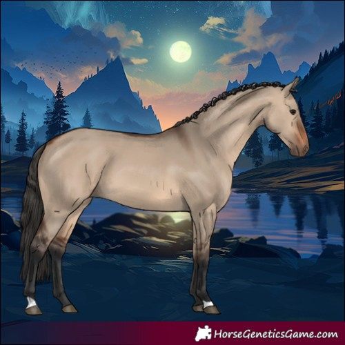 Horse Color:Brown Dun 
