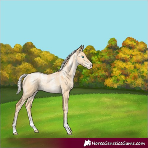 Horse Color:Powder White Silver Smoky Grullo Pearl 