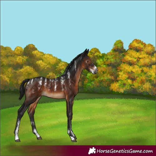 Horse Color:Powder White Gray Brown 