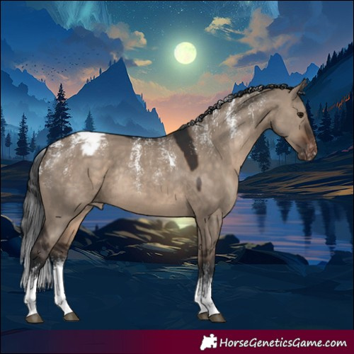 Horse Color:Powder White Brown Dun Tobiano Varnish Rabicano 