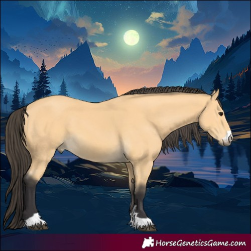Horse Color:Buckskin 