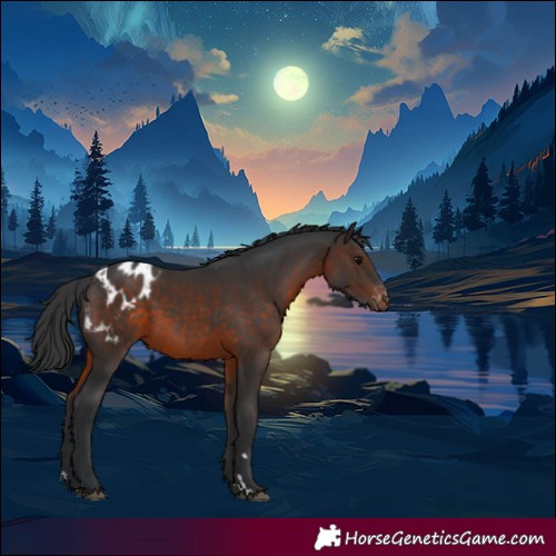 Horse Color:Brown Blanket 