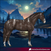 Horse Color:Powder White Liver Chestnut