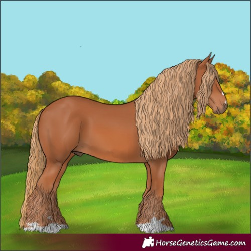 Horse Color:Chestnut 