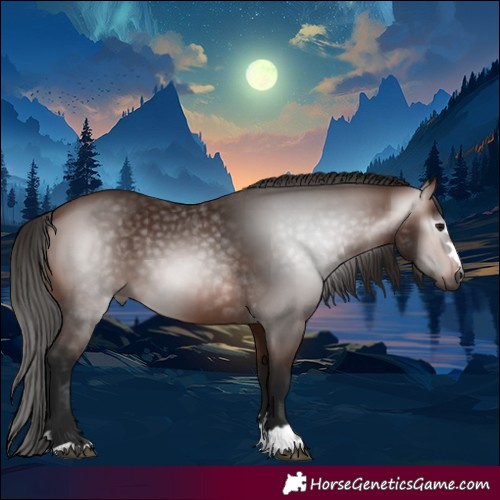 Horse Color:Gray Bay 