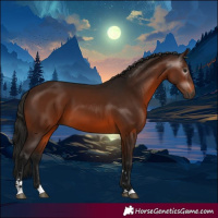 Horse Color:Gray Bay 