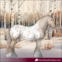Horse Color:Chocolate Palomino Dun Appaloosa 