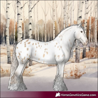 Horse Color:Chocolate Palomino Dun Appaloosa