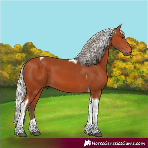 Horse Color:Silver Bay Tobiano