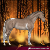 Horse Color:Silver Grullo Tobiano Rabicano 