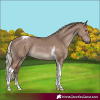 Horse Color:Silver Grullo Tobiano Rabicano 
