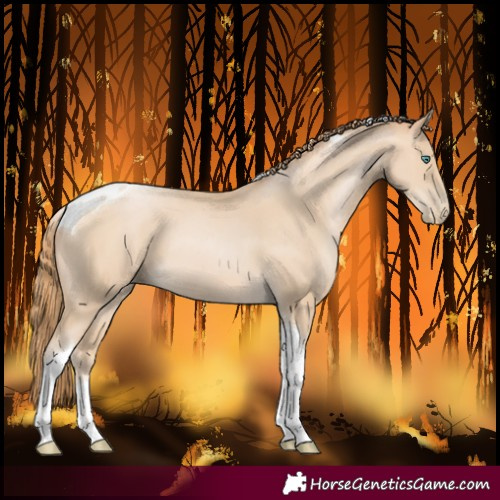 Horse Color:Smoky Black Pearl Tobiano