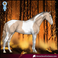 Horse Color:Perlino Tobiano