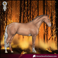 Horse Color:Silver Sable Champagne Tobiano 