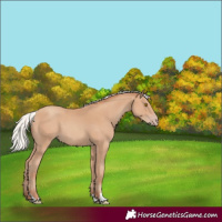Horse Color:Silver Classic Champagne