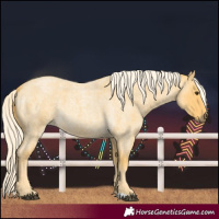 Horse Color:Palomino Roan 