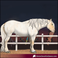 Horse Color:Gold Cream Champagne Roan