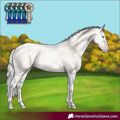 Horse Color:Cremello Dun Tobiano Rabicano  and Cremello Dun Tobiano Rabicano 