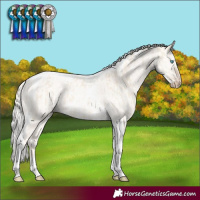 Horse Color:Cremello Dun Tobiano Rabicano and Cremello Dun Tobiano Rabicano