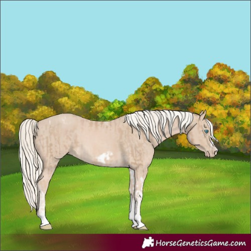 Horse Color:Chocolate Palomino Pearl Tobiano Frame  and Cremello Tobiano Frame 