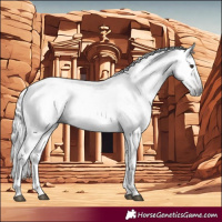 Horse Color:Gray Chestnut 