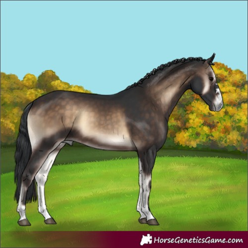 Horse Color:Brown Onyx 